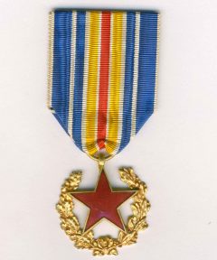 Image de Médaille des Blessés Type I