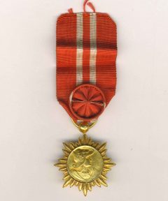Image de Médaille du Mérite Sportif