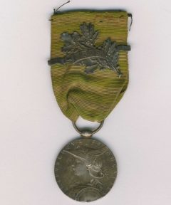 Image de Médaille de Madagascar 1895
