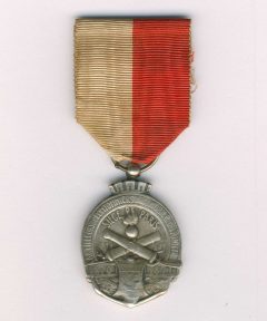 Image de Médaille des Artilleurs de Pontanniers de la Mobile du Rhône