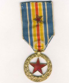 Image de Médaille des Blessés Type I variante