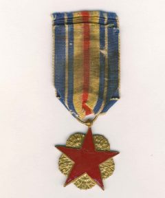Image de Médaille des Blessés Type II