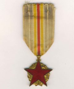 Image de Médaille des Blessés Type III