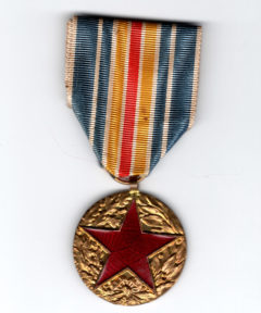 Image de Médaille des Blessés Type IV