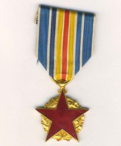 Image de Médaille des Blessés Type V
