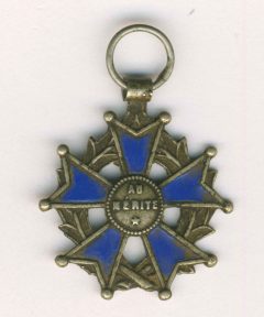 Image de Médaille du Mérite scolaire