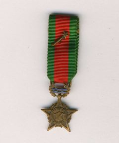 Image de Médaille Campagne Rhin et Danube 1944-1945 (Réduction)