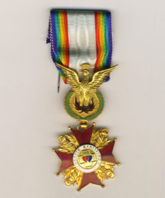 Image de Médaille du Mérite Sanitaire