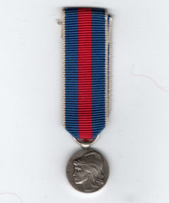Image de Médaille des Services Militaires Volontaires type III Reduction (Arg)