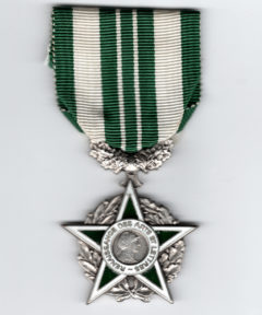 Image de Médaille Reconnaissance des Arts et Lettres