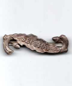 Image de Barrette Association de vétérans 1870 : Section