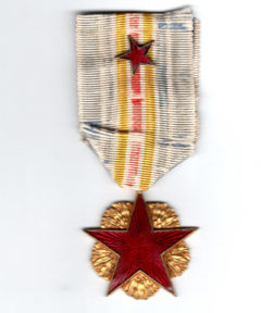 Image de Médaille des Blessés Type II + Etoile