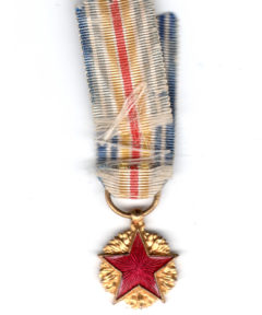 Image de Médaille des Blessés Type IV (Red)